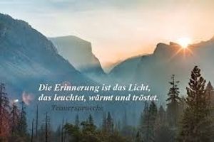 Vom User ausgewähltes Bild