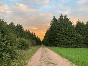 Image chosen by user