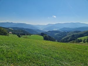 Vom User ausgewähltes Bild
