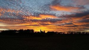 Vom User ausgewähltes Bild