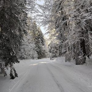 Image chosen by user