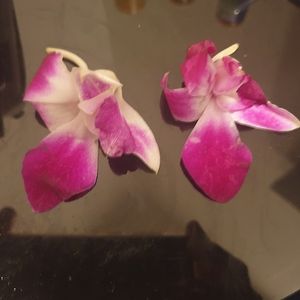 Image chosen by user