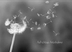 Image chosen by user