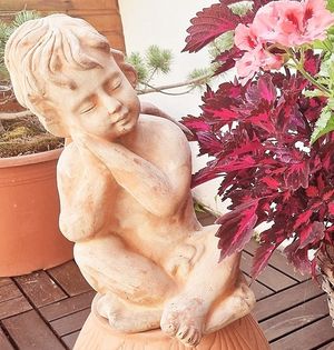 Image chosen by user