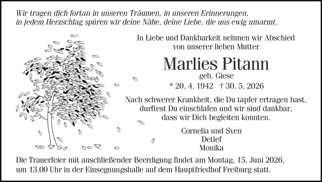 <p>Wir tragen dich fortan in unseren Träumen, in unseren Erinnerungen, in jedem Herzschlag spüren wir deine Nähe, deine Liebe, die uns ewig umarmt.</p>

<p>In Liebe und Dankbarkeit nehmen wir Abschied von unserer lieben Mutter</p>

<p><strong>Marlies Pitann</strong><br>geb. Giese<br>* 20. 4. 1942 † 30. 5. 2026</p>

<p>Nach schwerer Krankheit, die Du tapfer ertragen hast, durftest Du einschlafen und wir sind dankbar, dass wir Dich begleiten konnten.</p>

<p>Cornelia und Sven<br>Detlef<br>Monika</p>

<p>Die Trauerfeier mit anschließender Beerdigung findet am Montag, 15. Juni 2026, um 13.00 Uhr in der Einsegnungshalle auf dem Hauptfriedhof Freiburg statt.</p>