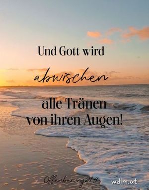 Vom User ausgewähltes Bild