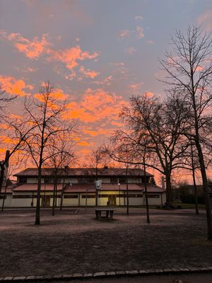 Vom User ausgewähltes Bild