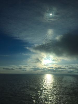 Image chosen by user