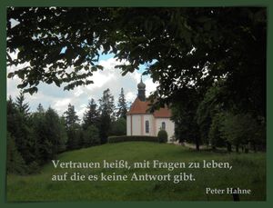 Image chosen by user
