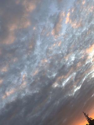 Image chosen by user