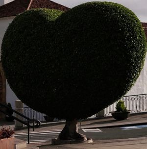 Image chosen by user